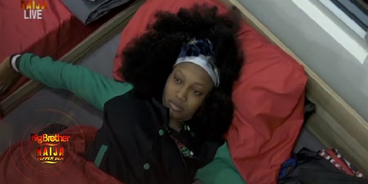 (Video) Day 1: Updates of BBNaija 2019 Day 1 Housemates Activities